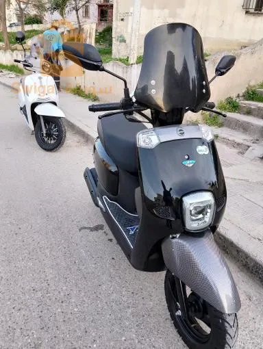قالمة