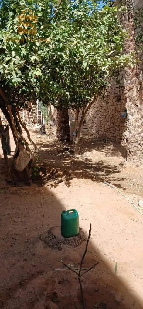 غرداية الحاج مسعود