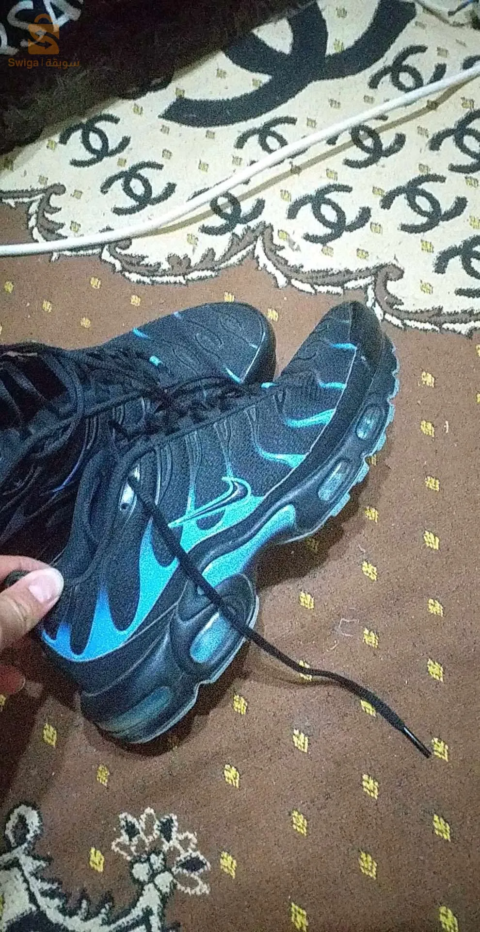 tn