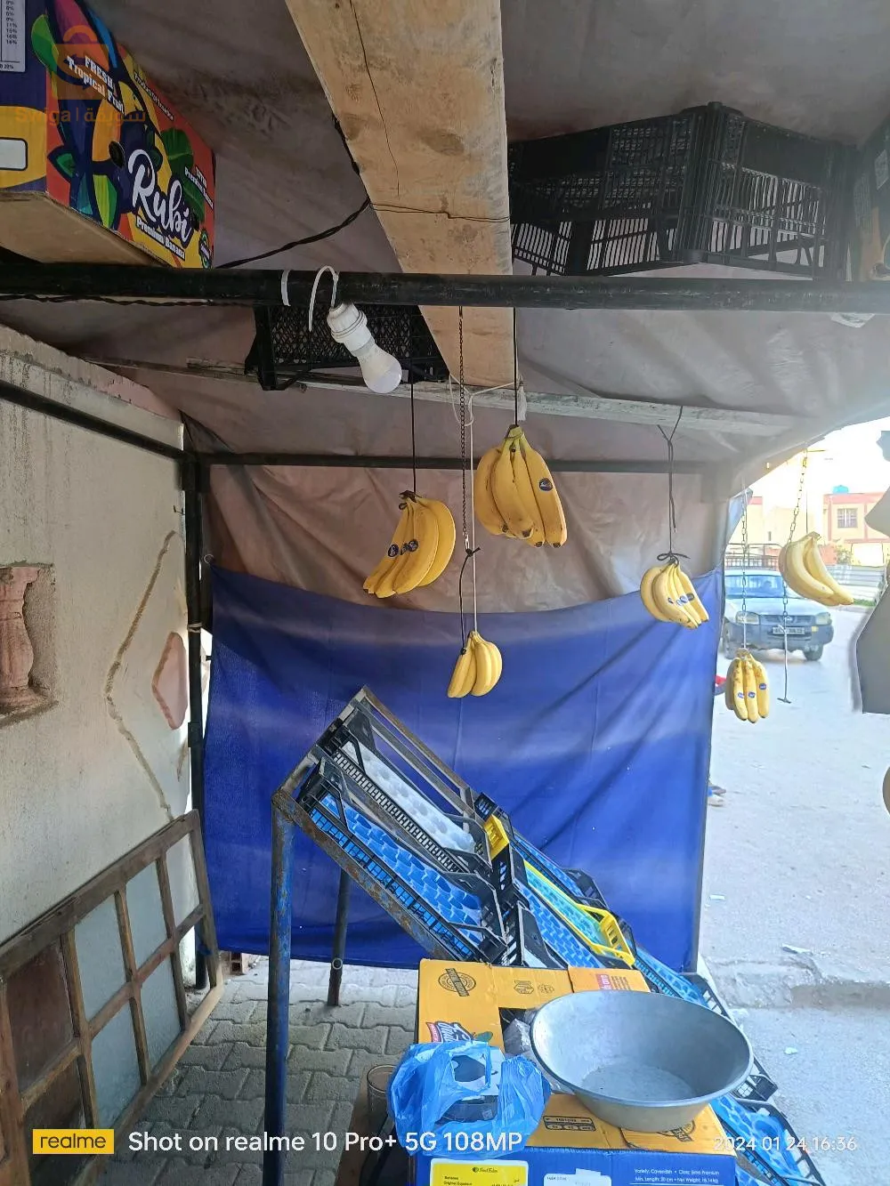 الذرعان