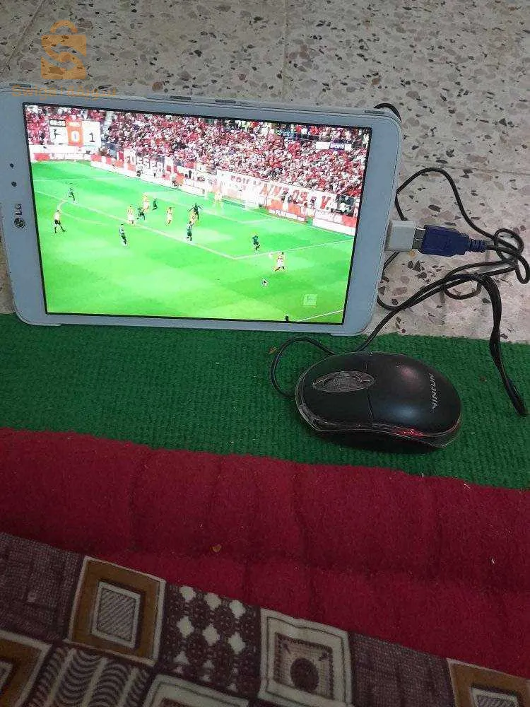 معسكر. فيب