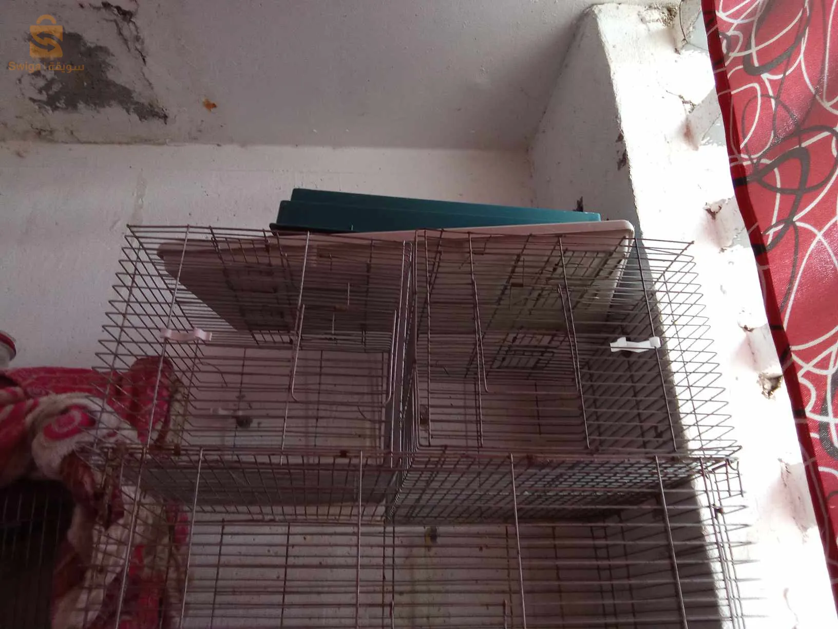 cage occasion kbira wsgher