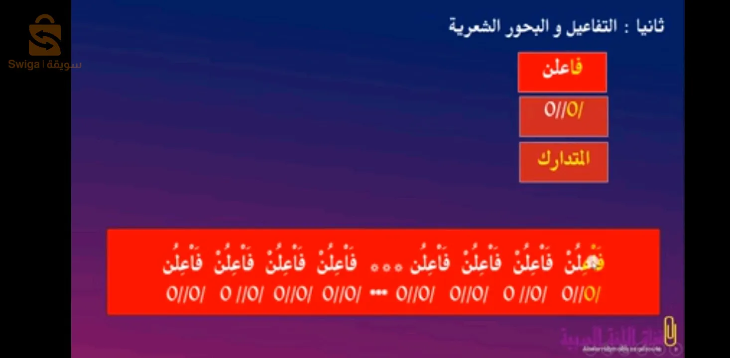 Arabic language training courses