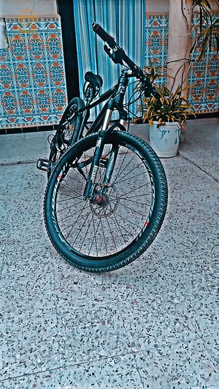 vélo nakamura