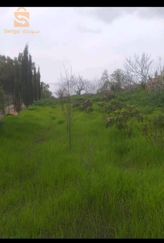 قطعة أرض للبيع الواقعة بجامع الطرشة قسنطينة