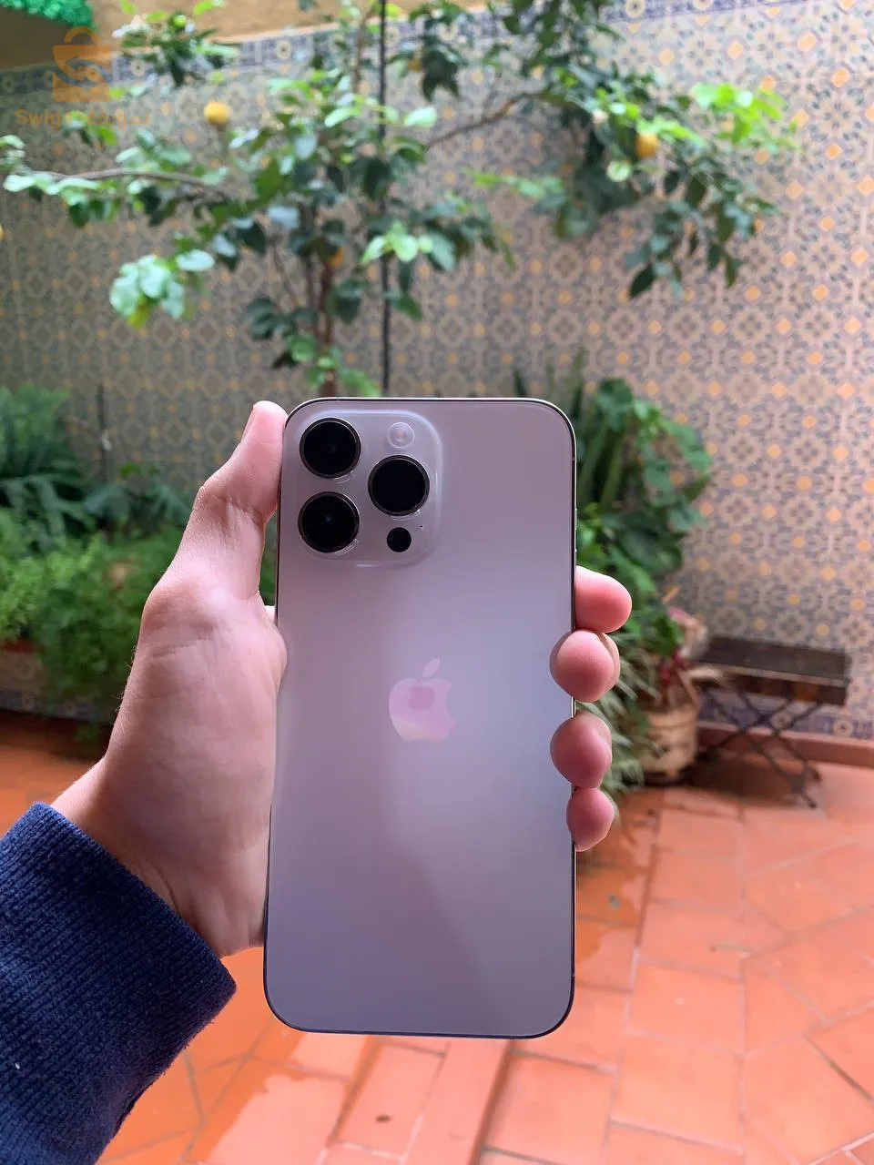 iPhone 14 pro max