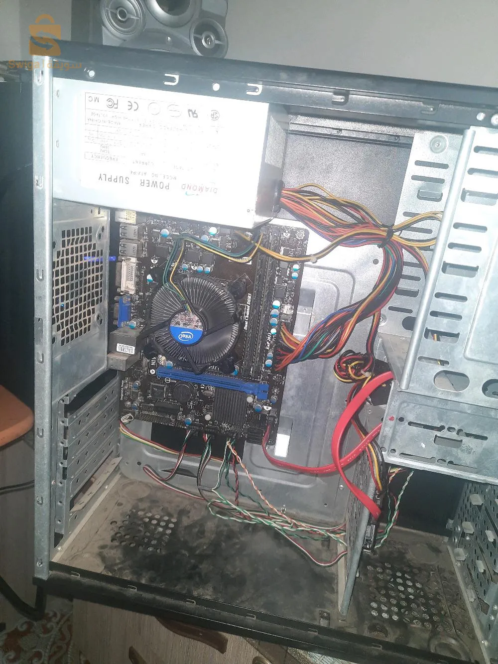 شتوان تلمسان