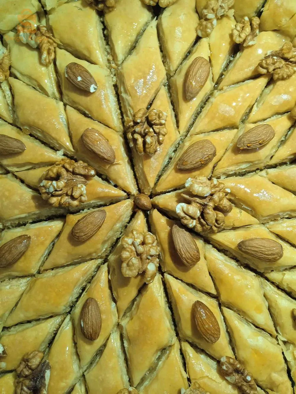 سيدي عبد الله الجزائر