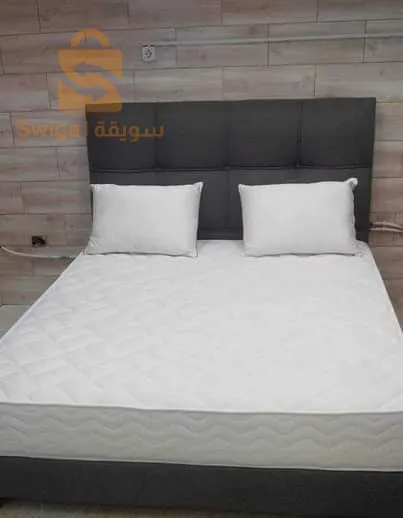 الجزائر الكاليتوس