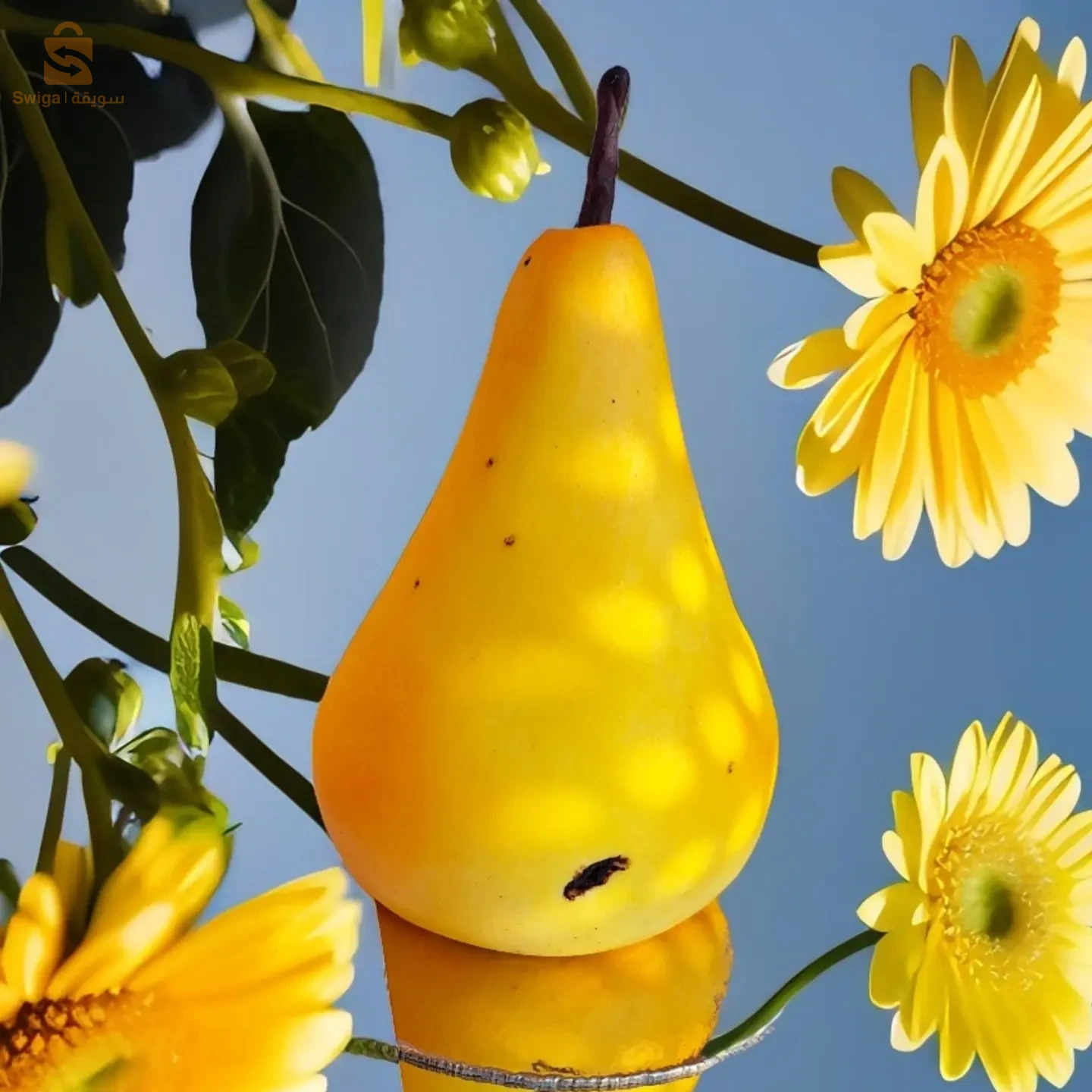 gâteaux traditionnels et modernes sur commande