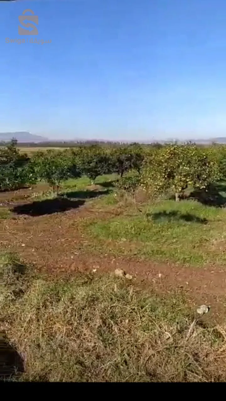 ارض فلاحية مساحة 3 هكتار