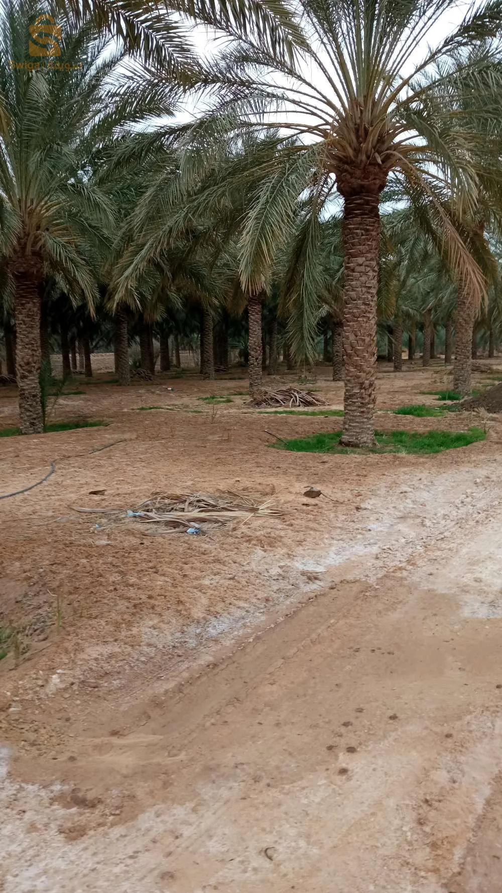 استثمار ممتاز