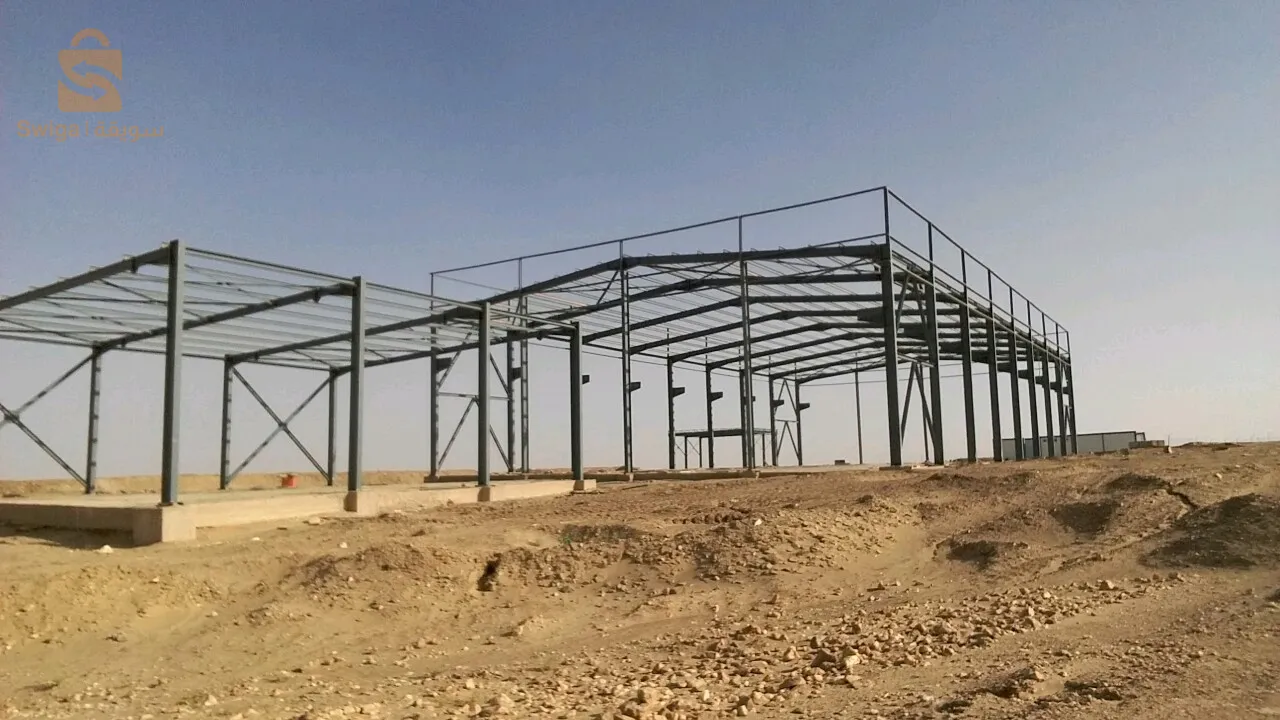 عين الدفلى