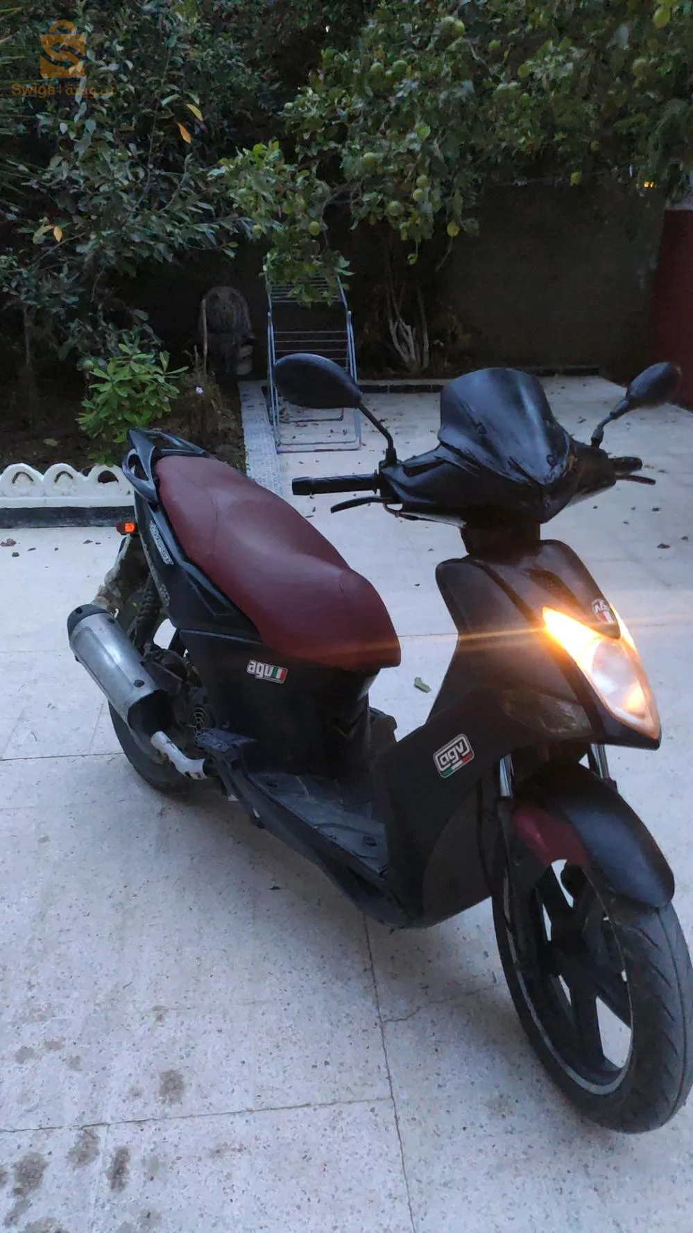 دلس بومرداس