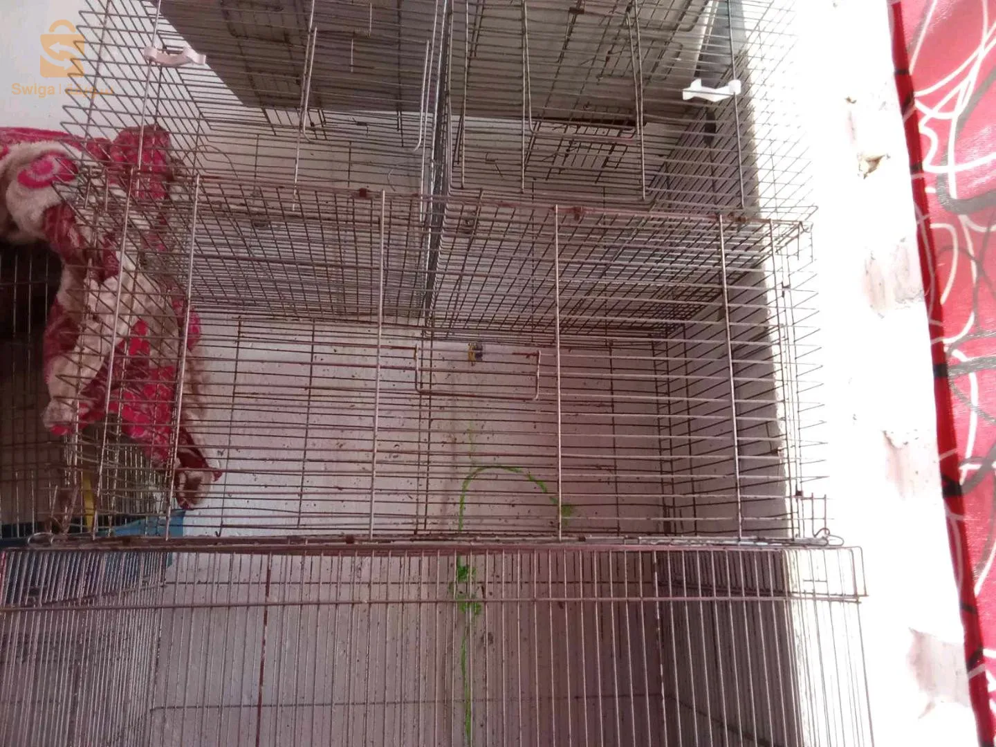 cage occasion kbira wsgher