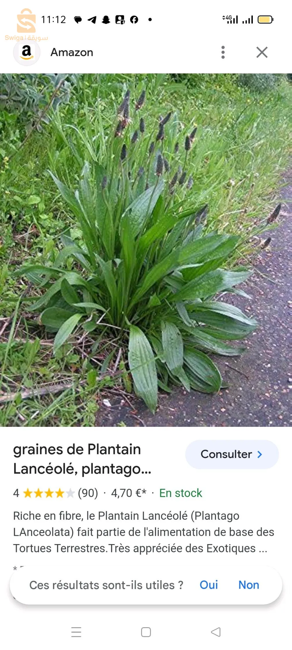 خميس مليانة