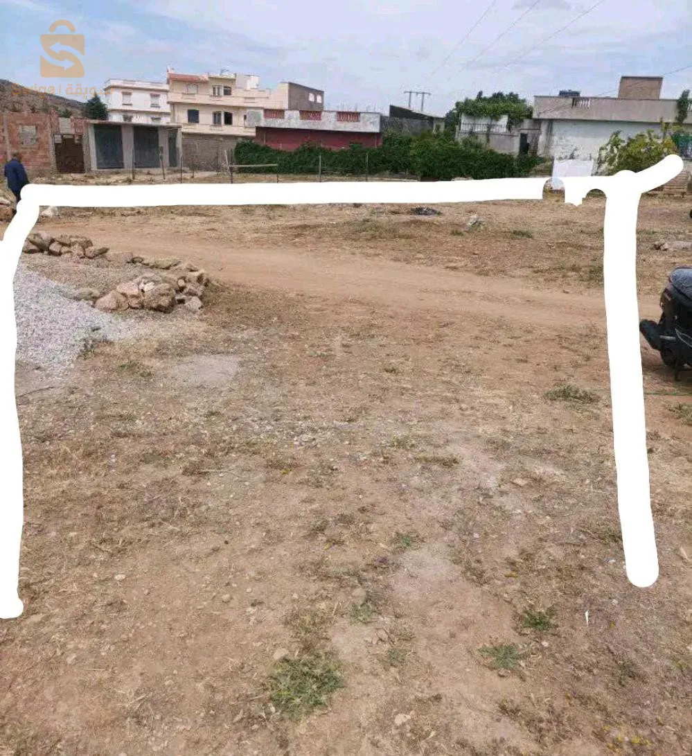 تلمسان مفروش