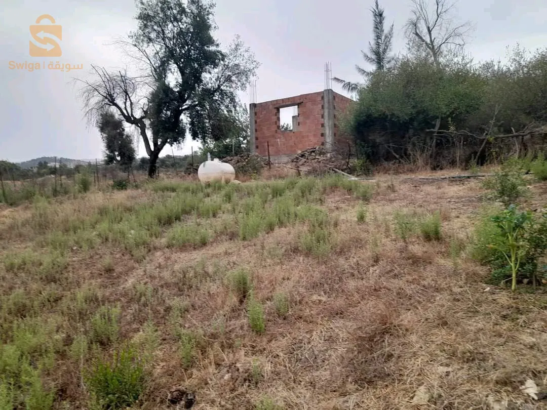 ولاية جيجل مدينة الميلية