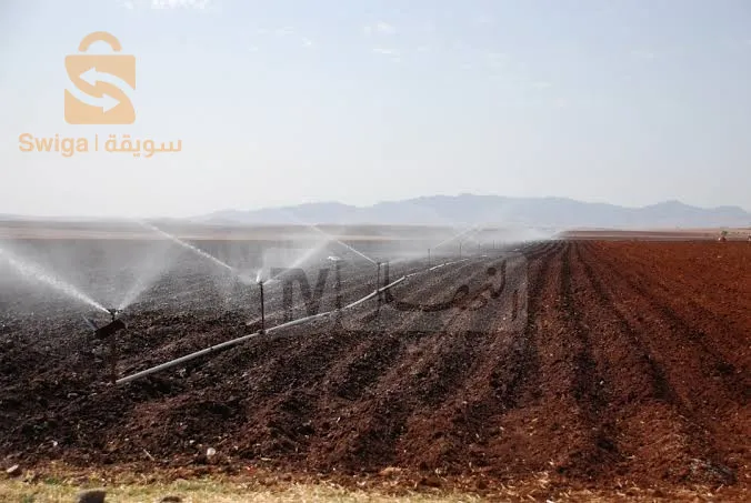 كراء أرض زراعية