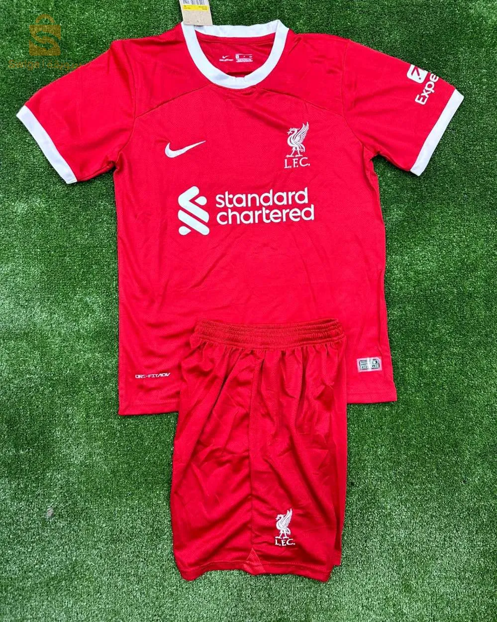 t shirt  tenue 2024