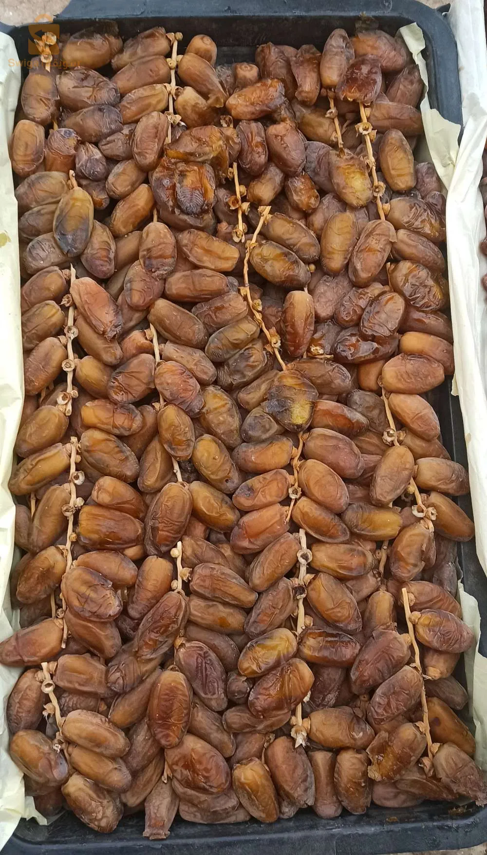 ماوسة