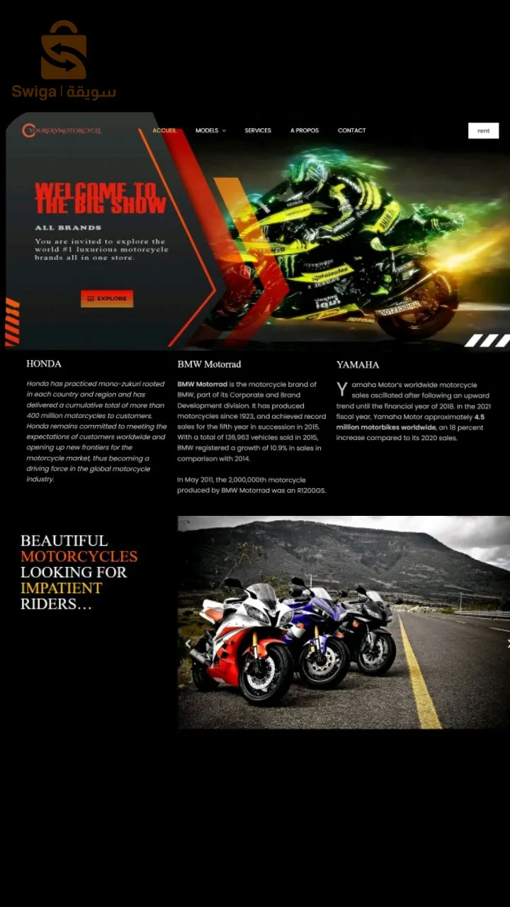 conception des site web professionnel  انشاء مواقع إلكترونية محترفة