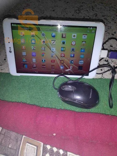 معسكر. فيب