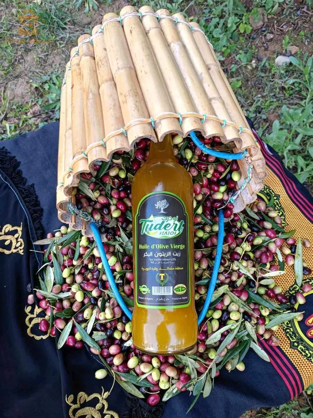 "استكشف جوهر البحر الأبيض المتوسط مع زيت الزيتون البكر البكر الفاخر لدينا، الذي يتمتع بجودة عالية. تمت طحن الزيتون بالبارد للحصول على أجود النكهات، مما يجعل زيتنا يعكس روعة ونقاء الطبيعة. رائحته الفاتنة وطعمه الفاخر والمفعم بالفواكه يستحضر المنحدرات المشمسة وحدائق الزيتون المحملة بأشعة الشمس. مثالي لتحسين نكهة أطباقك، يُعتبر زيت الزيتون لدينا كنزًا مطبخيًا يضفي لمسة من الفخامة على كل وجبة. امنح نفسك لحظات الأصالة الفاخرة مع زيت الزيتون لدينا، الذي يُعتبر رمزًا للجودة والتقاليد.