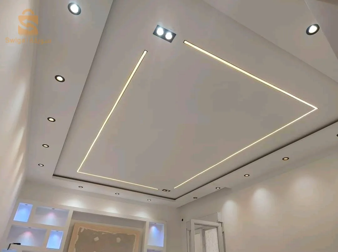 كل أعمال البلاكوبلاتر و الديكور المنزلي