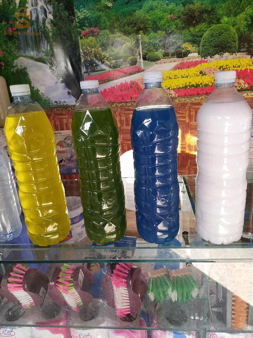 بلدية متوسة ولاية خنشلة