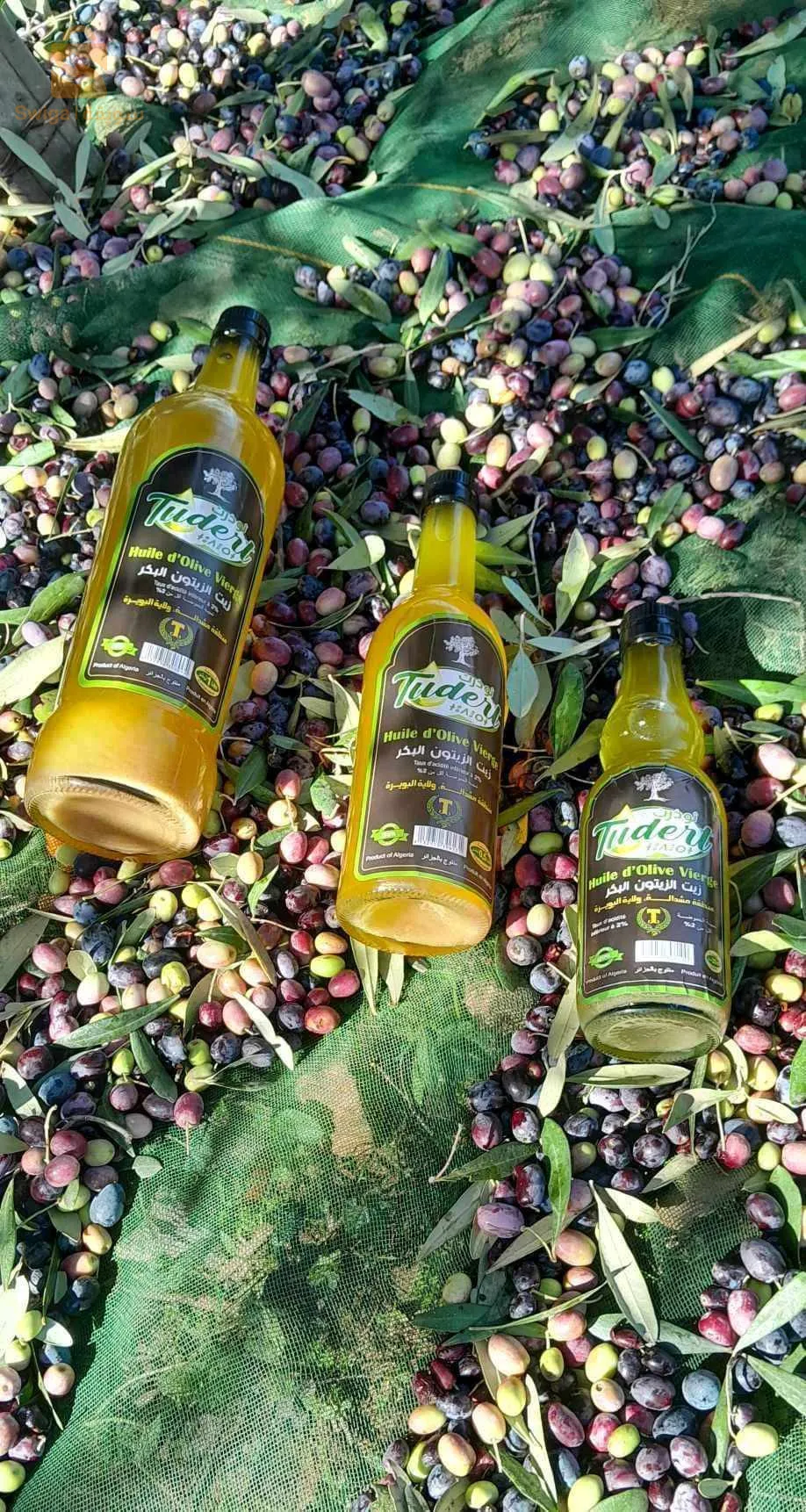 مستثمرة فلاحية فردية لحسن تقدم لكم اجود زيت زيتون في منطقة القبائل ، للاستفسار اكثر عن المنتجات الاخرى يرجى الاتصال ، نوفر لكم التوصيل (جملة)