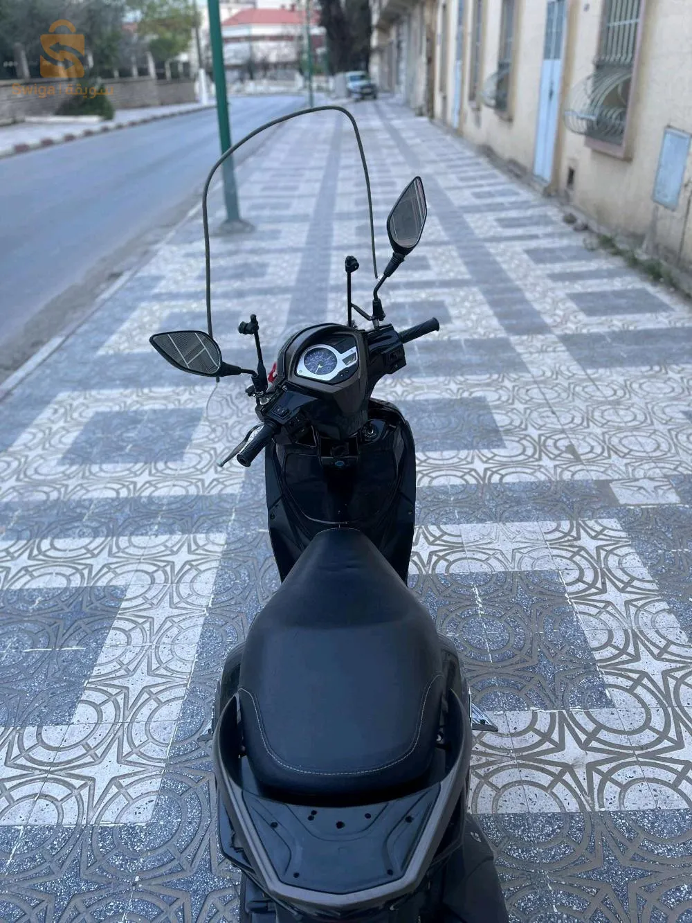 tiaret