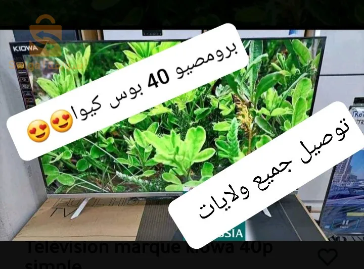 40 بوس كيوا