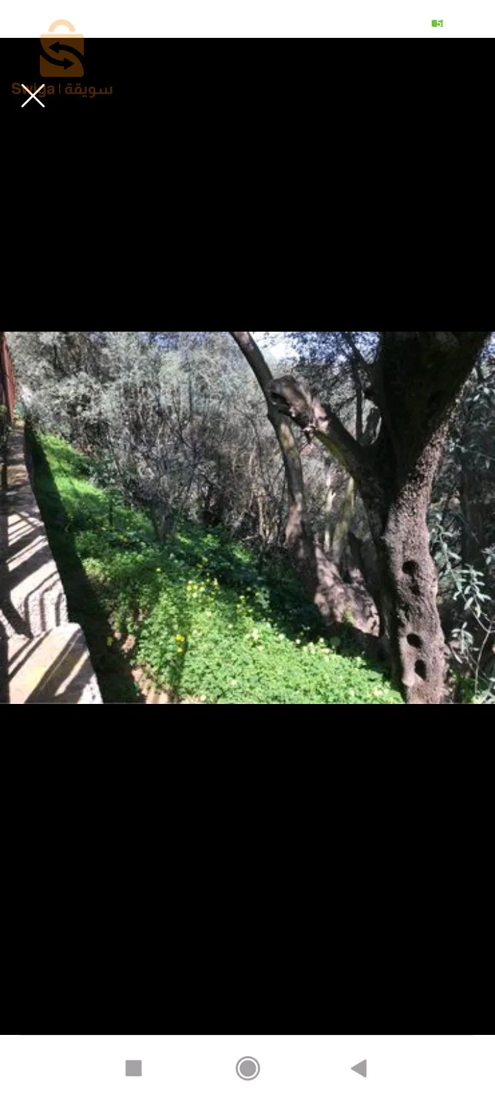 Cité ben Yamina boudouaou Boumerdes