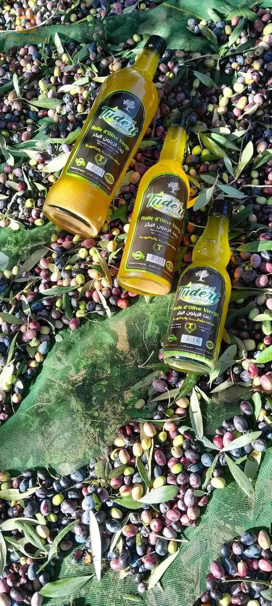 "استكشف جوهر البحر الأبيض المتوسط مع زيت الزيتون البكر البكر الفاخر لدينا، الذي يتمتع بجودة عالية. تمت طحن الزيتون بالبارد للحصول على أجود النكهات، مما يجعل زيتنا يعكس روعة ونقاء الطبيعة. رائحته الفاتنة وطعمه الفاخر والمفعم بالفواكه يستحضر المنحدرات المشمسة وحدائق الزيتون المحملة بأشعة الشمس. مثالي لتحسين نكهة أطباقك، يُعتبر زيت الزيتون لدينا كنزًا مطبخيًا يضفي لمسة من الفخامة على كل وجبة. امنح نفسك لحظات الأصالة الفاخرة مع زيت الزيتون لدينا، الذي يُعتبر رمزًا للجودة والتقاليد.