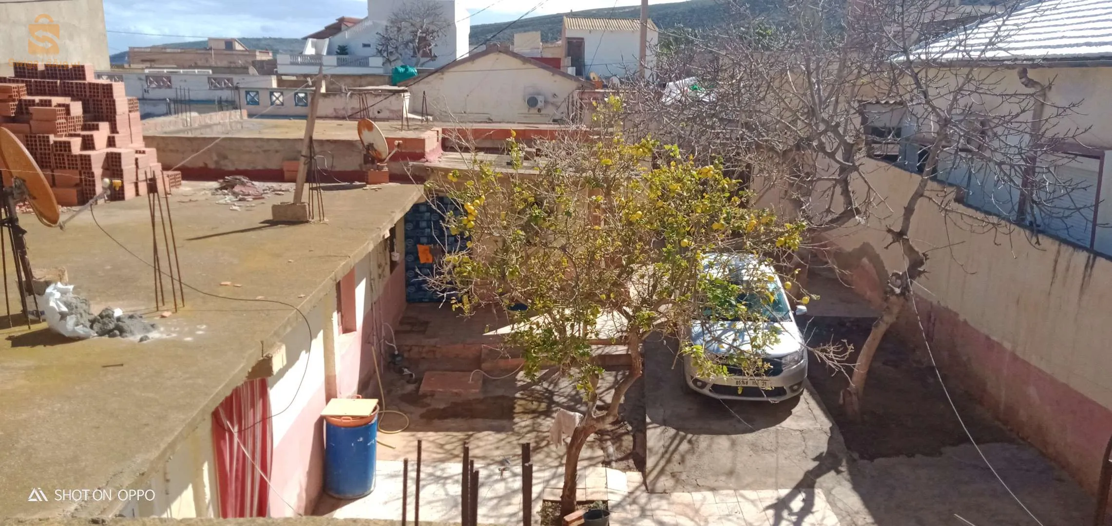 44 akid otkhman cap carbone Arzew