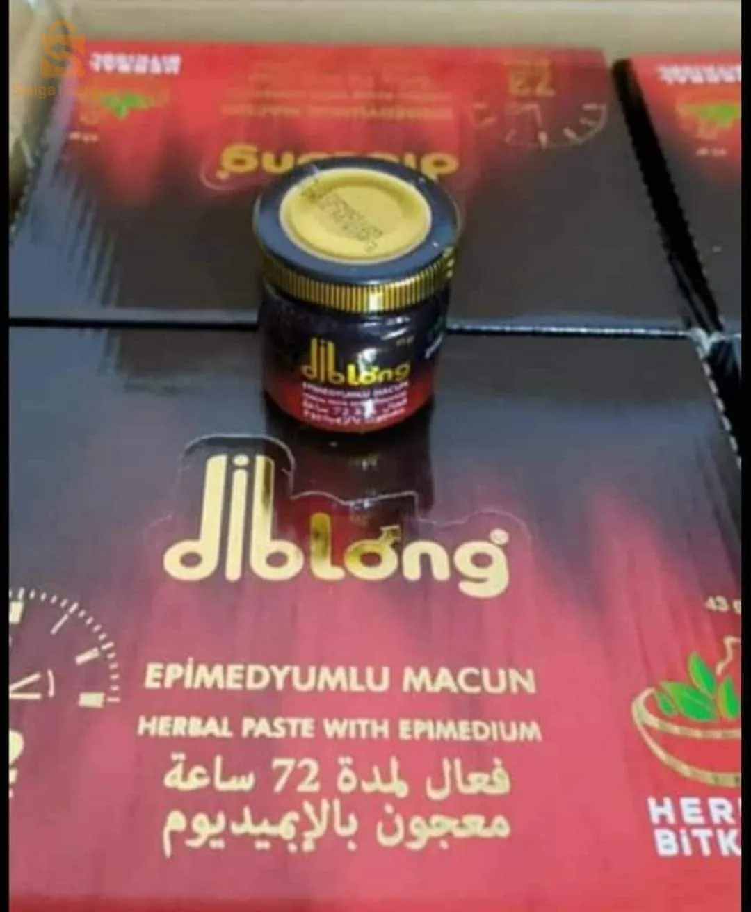 وهران