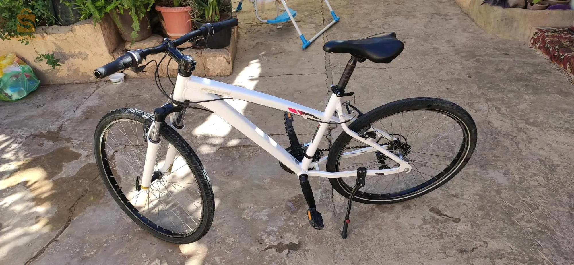 سيدي بلعباس