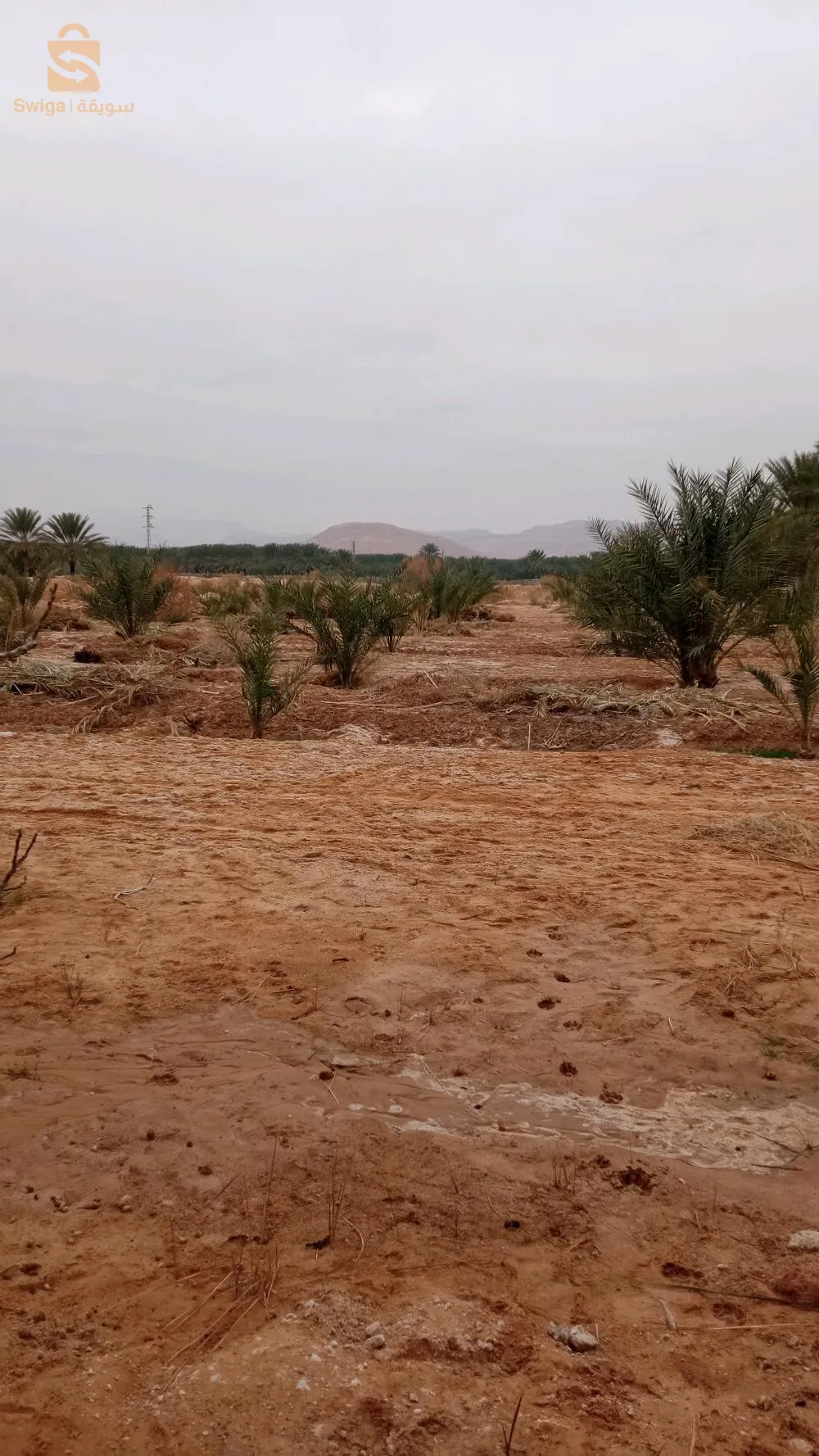 استثمار ممتاز