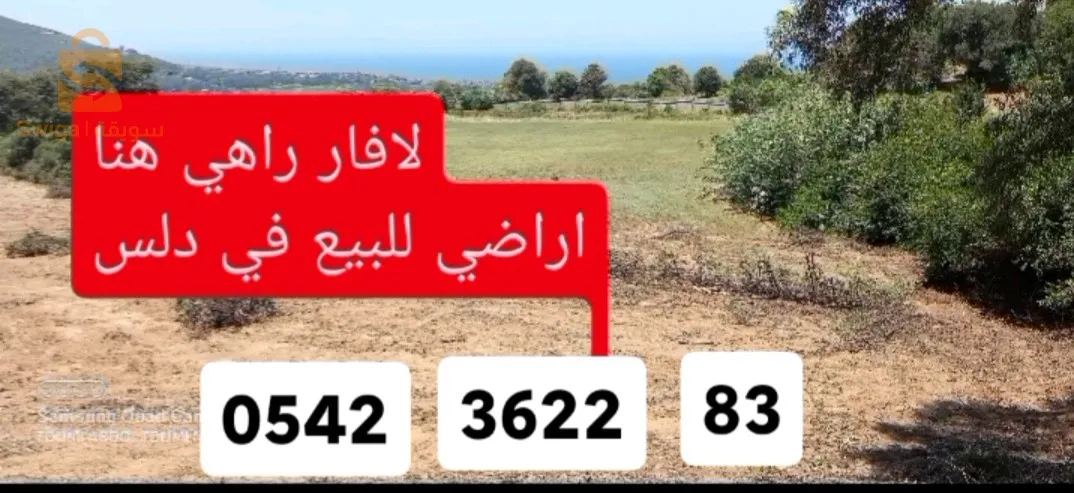 دلس تاقدمت