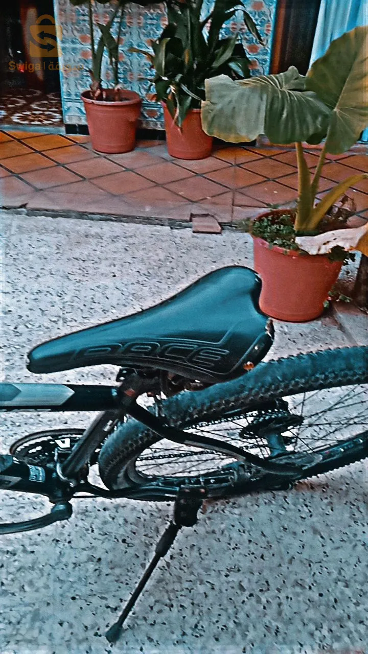 vélo nakamura
