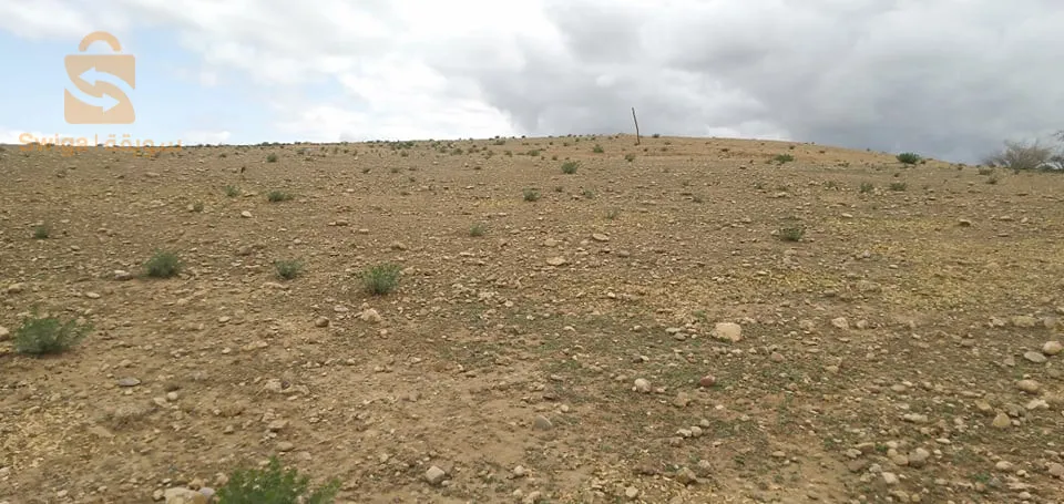 غليزان