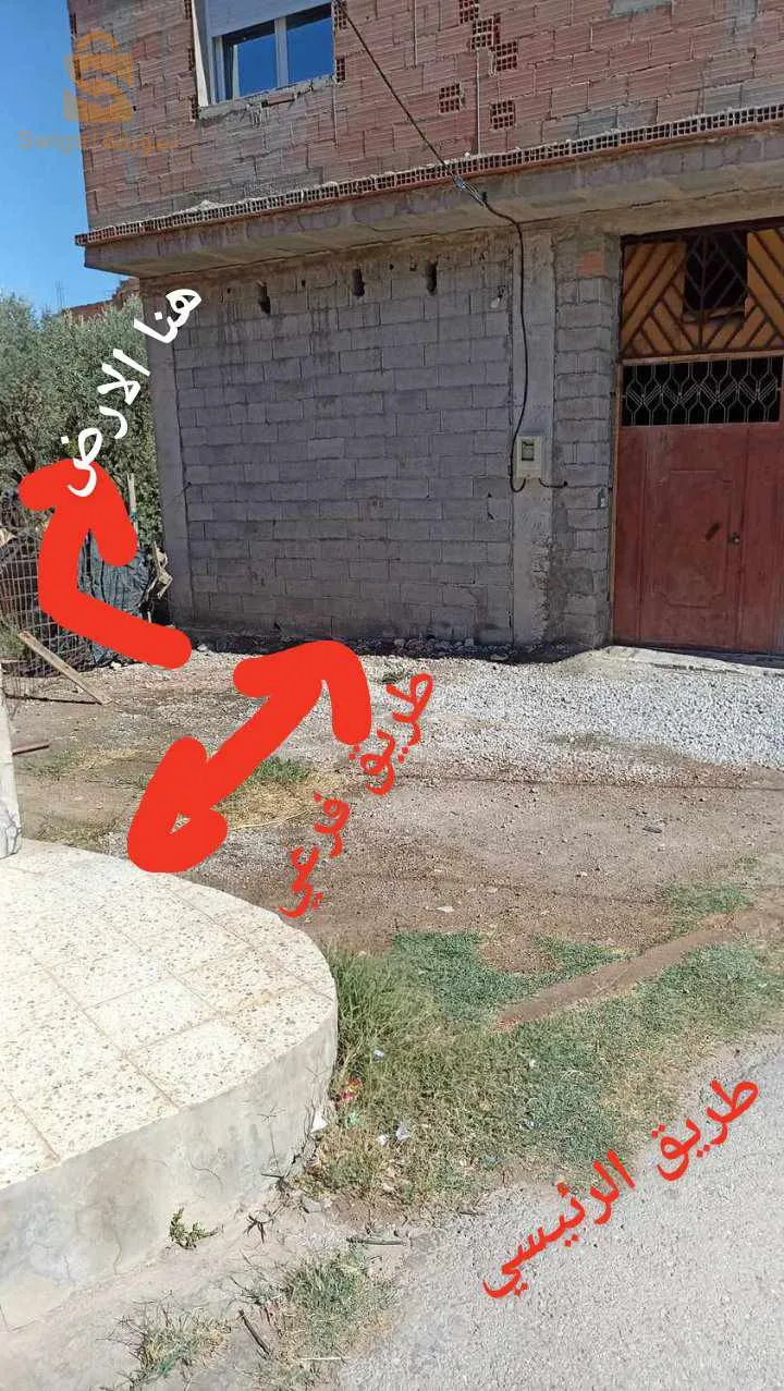 ارض للبيع ببلدية الحناية ولاية تلمسان موقع ممتاز