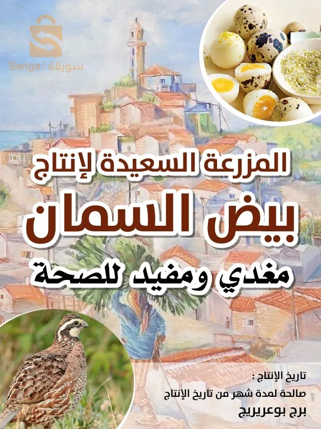 بيض السمان وبيض عرب