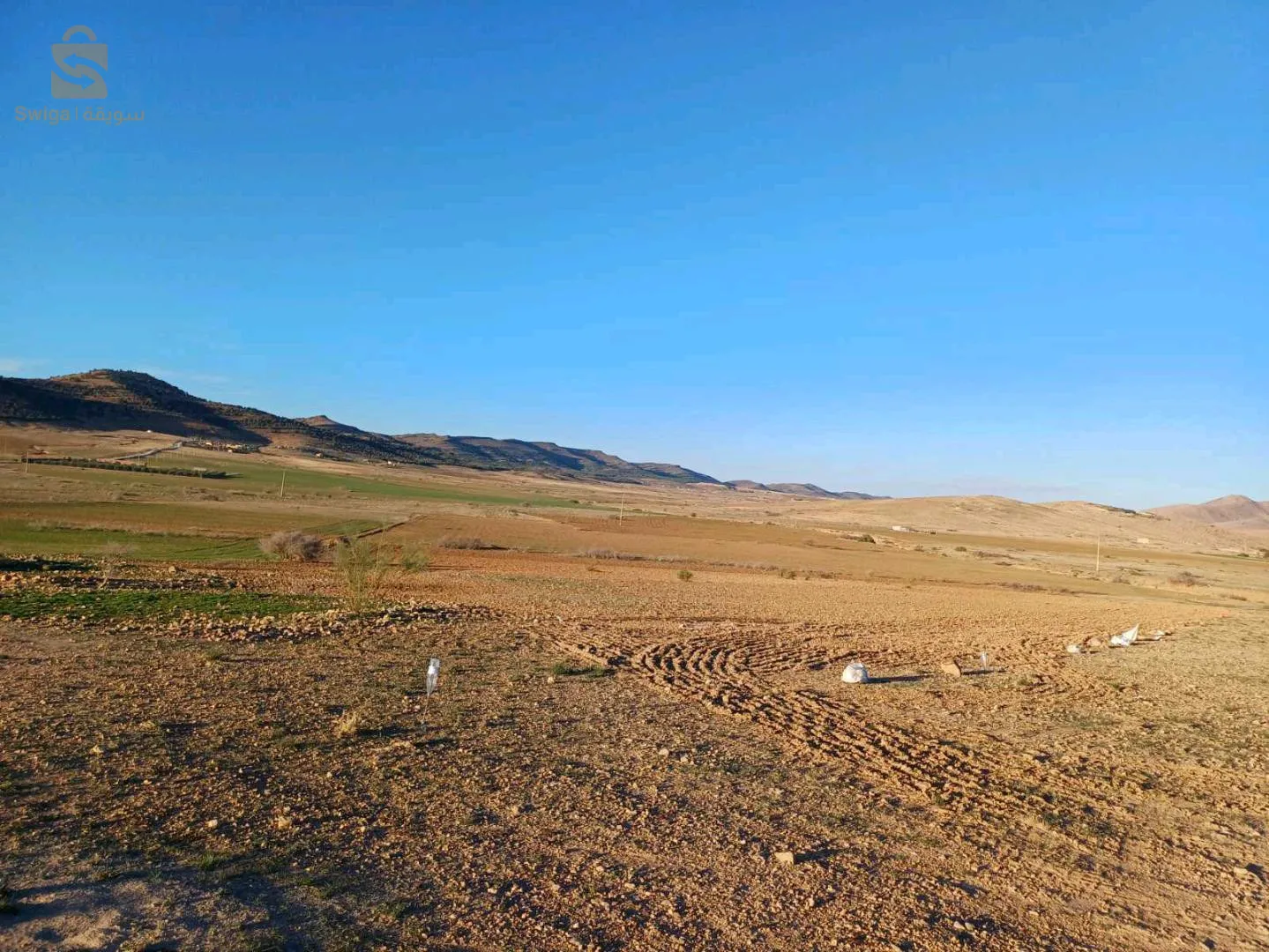 بومية المعذر باتنة