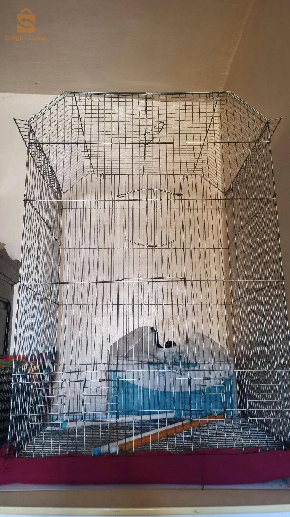 قفص مستعمل للبيع  شلغوم العيد