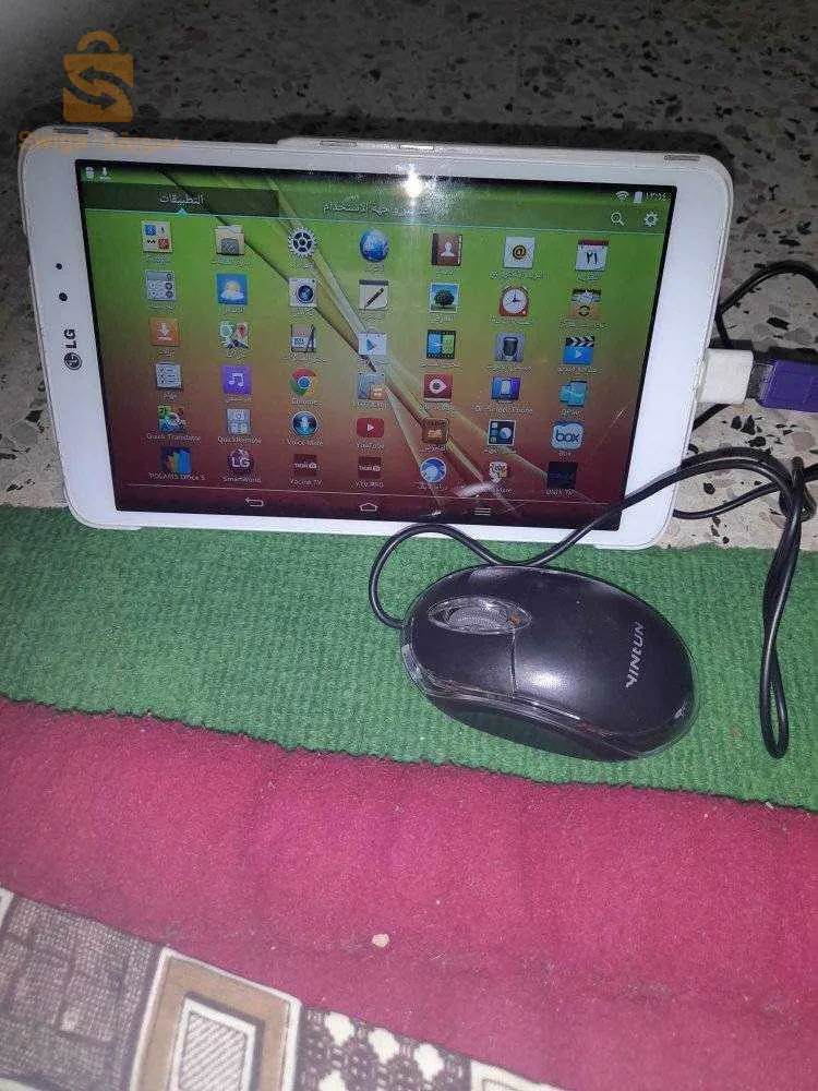 معسكر. فيب