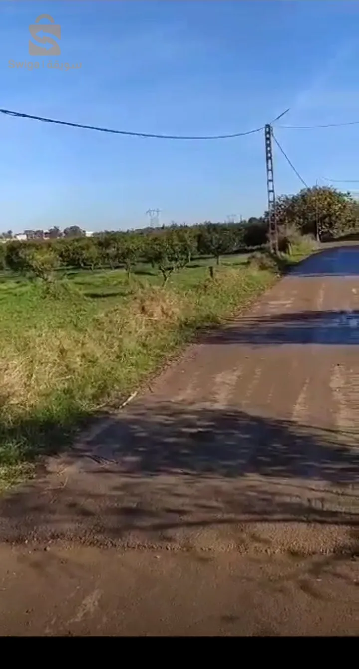 ارض فلاحية مساحة 3 هكتار