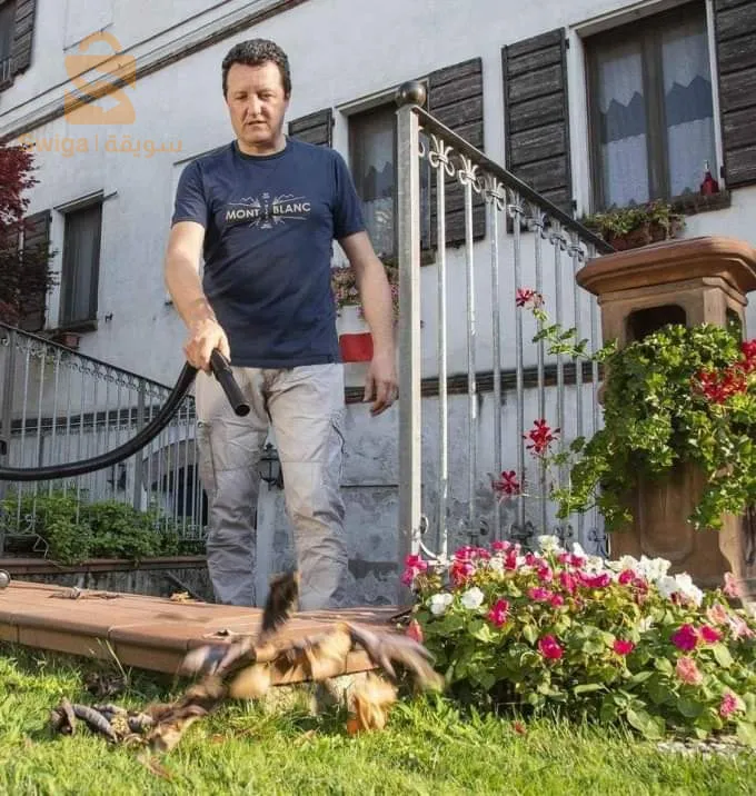 العلمة. بوخبلة