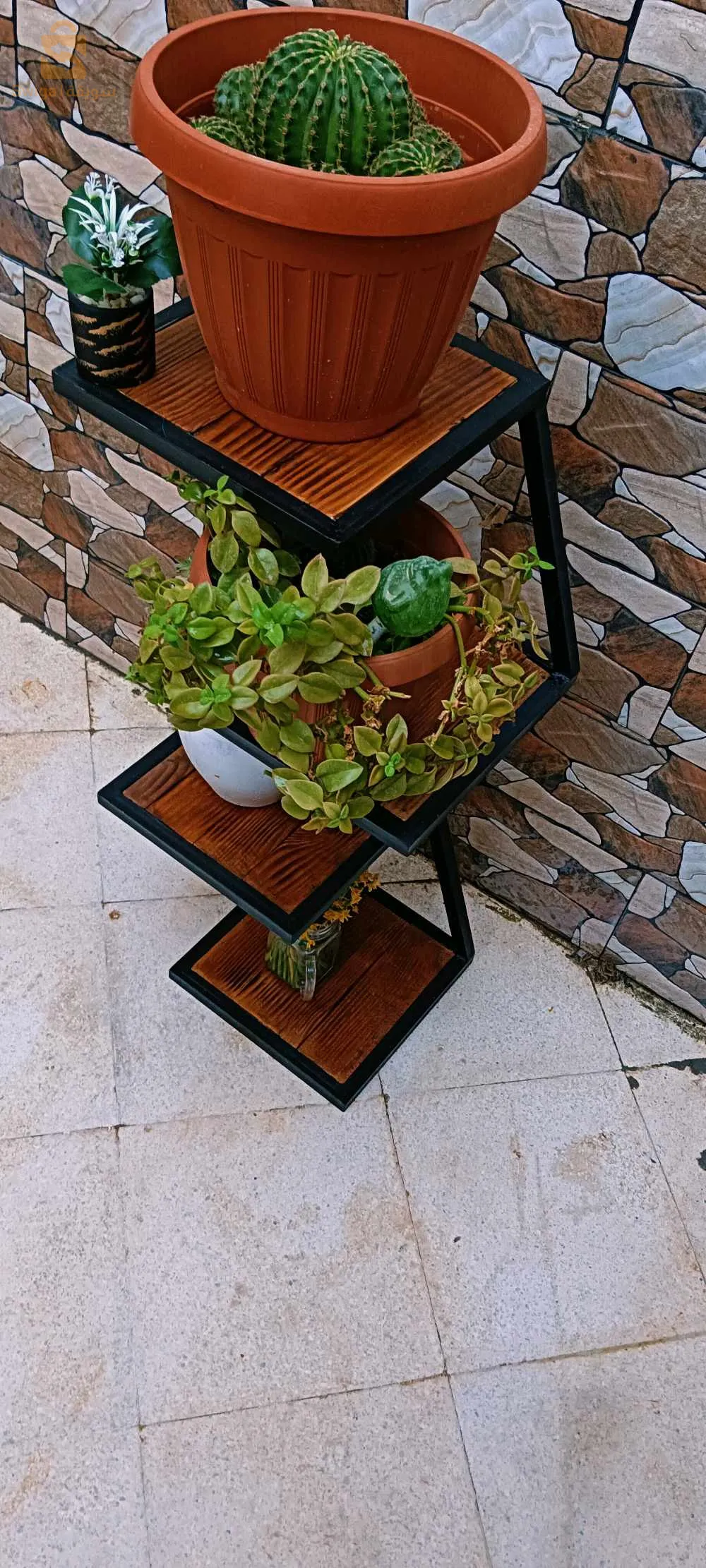 حامل نباتات